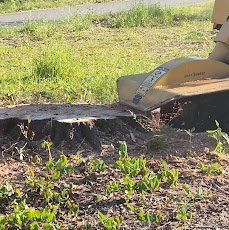 Brush clearing
